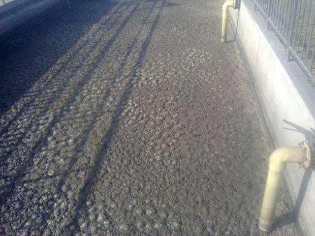 活性污泥浓度受什么影响