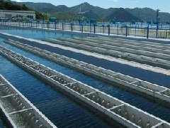 保障饮用水安全，全流程工艺